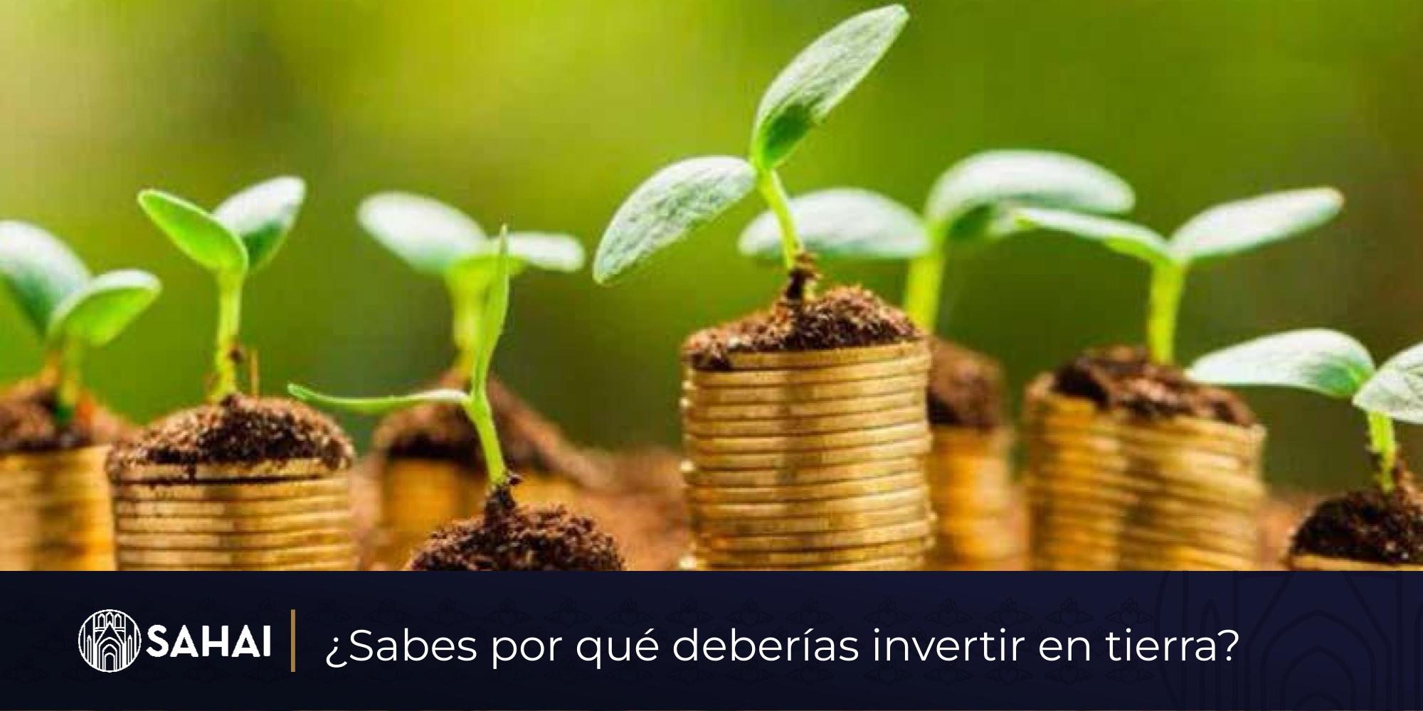 ¿Sabes por qué deberías invertir en tierra?